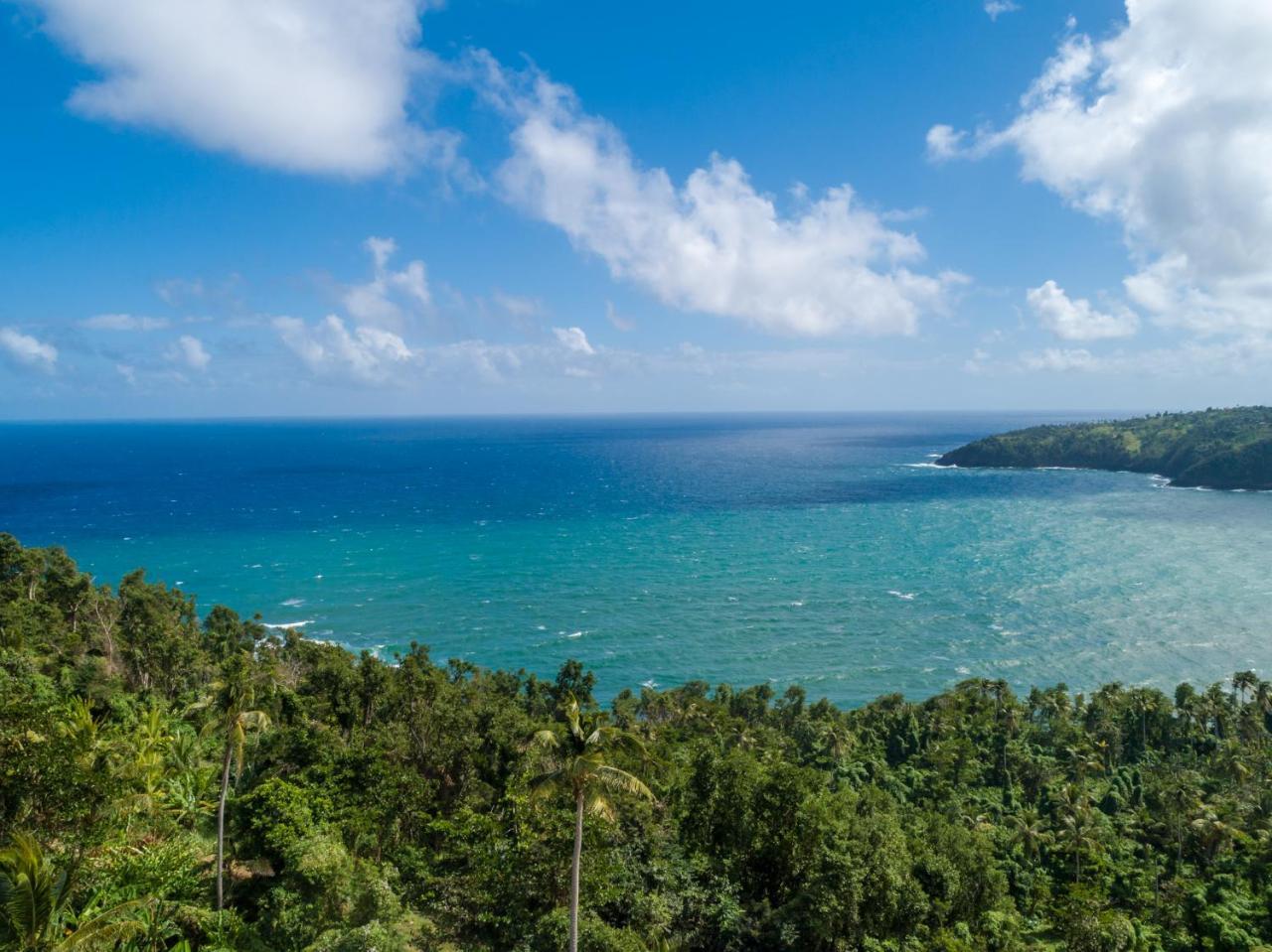 Pagua Bay House - Oceanfront Cabana'S Marigot Eksteriør billede